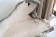 White Teak Root Bench